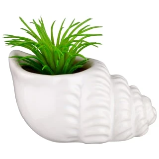 B&M Scandi Shore Small Shell Succulent 2 B&M Scandi Shore Small Shell Succulent - Image 2