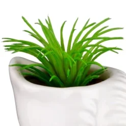 B&M Scandi Shore Small Shell Succulent 16 B&M Scandi Shore Small Shell Succulent -Home Furnishing Series Store 380110 small shell succulent 5