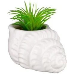 B&M Scandi Shore Small Shell Succulent 13 B&M Scandi Shore Small Shell Succulent -Home Furnishing Series Store 380110 small shell succulent 6