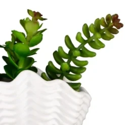 B&M Scandi Shore Small Shell Succulent 17 B&M Scandi Shore Small Shell Succulent -Home Furnishing Series Store 380110 small shell succulent 8